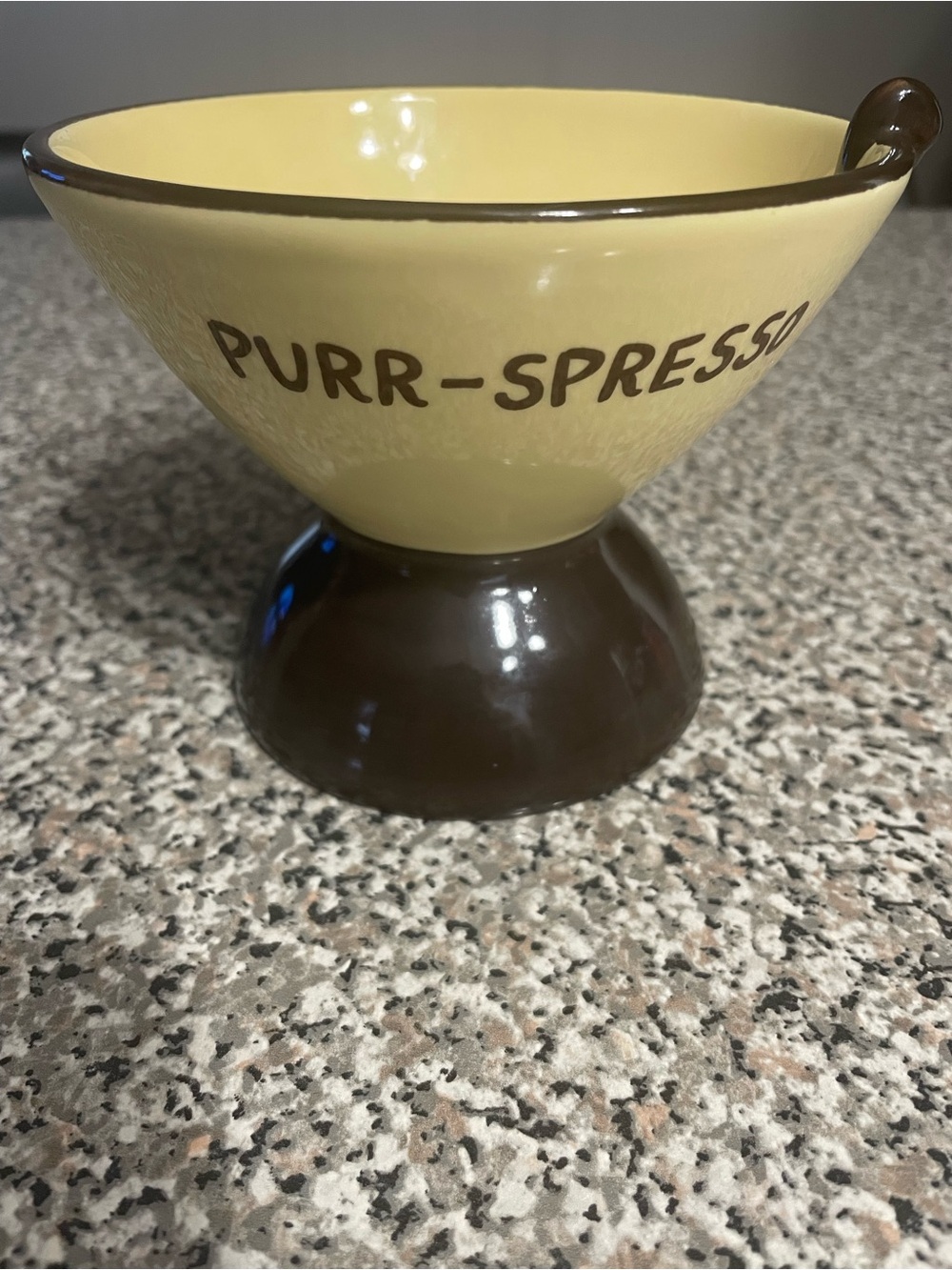 Purr-spresso cat bowl